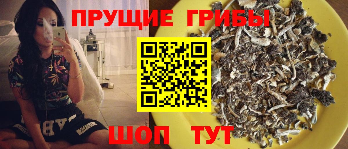 Галлюциногенные грибы GOLDEN TEACHER  Галлюциногенные грибы Psilocybine cubensis  Вход с VPN  Лесосибирск 